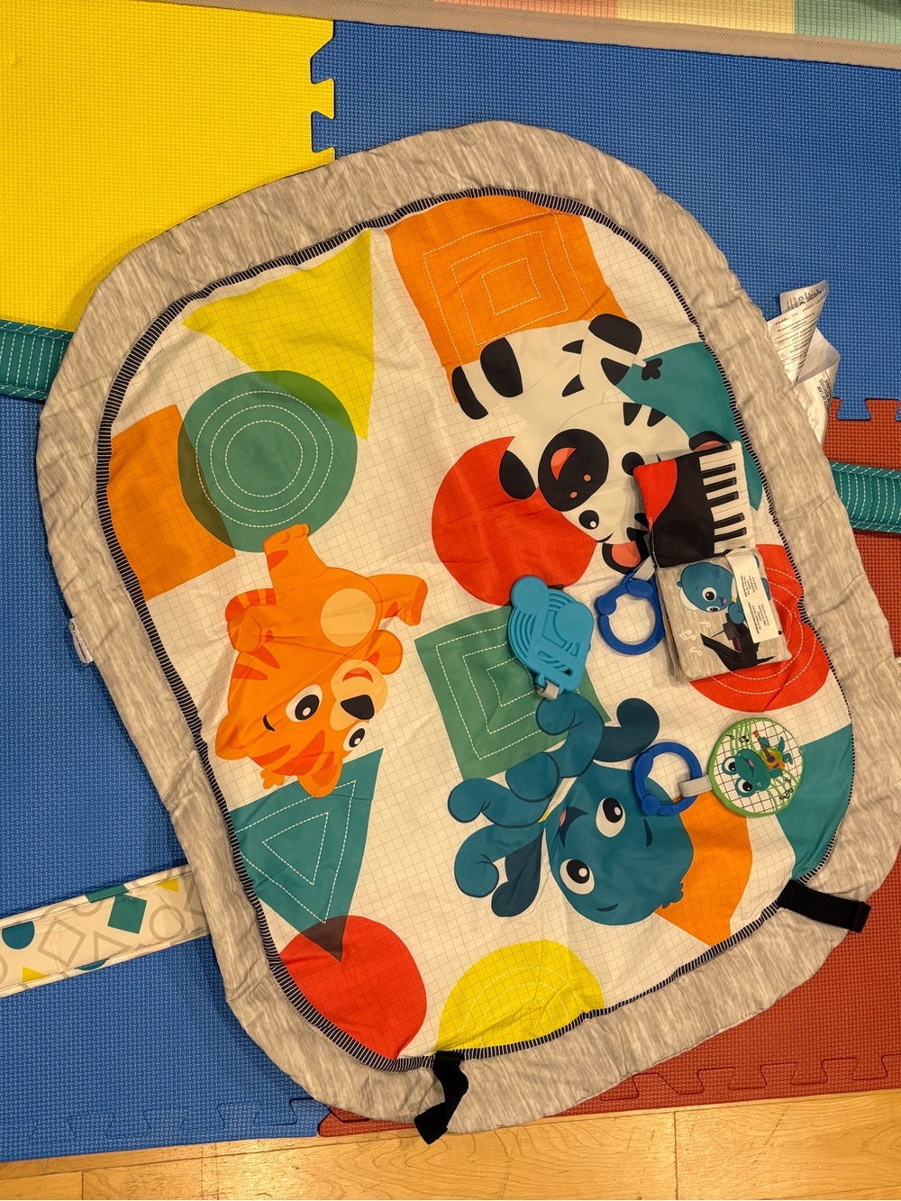 Baby Einstein Activity Mat